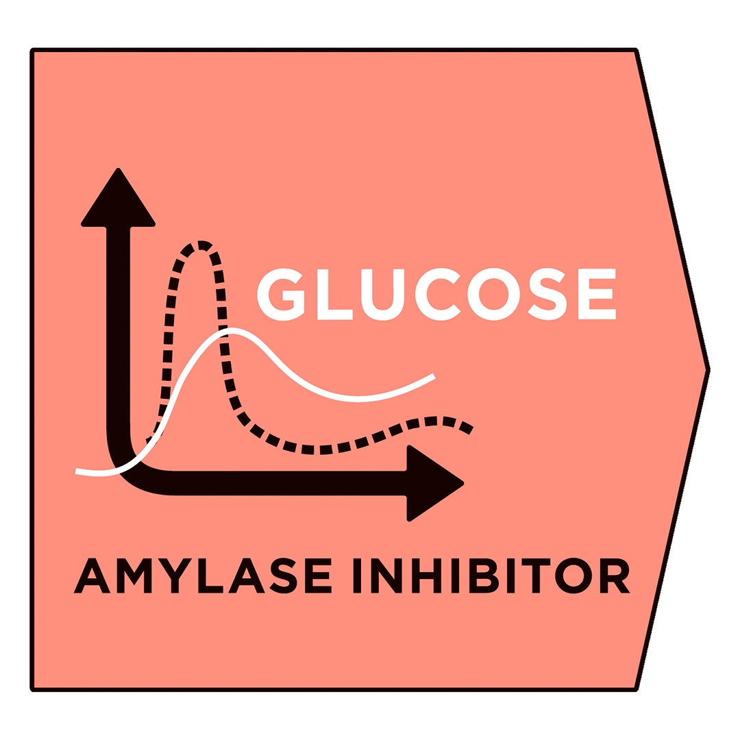 13103 PRO PLAN® VETERINARY DIETS DM Diabetes Management Dry Dog Food