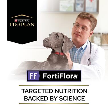Purina Pro Plan FortiFlora, Dog Probiotic Supplement