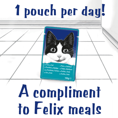 122581 FELIX® Soup Farm Selection Wet Cat Food