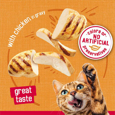 Friskies Prime Filets With Chicken in Gravy Adult Wet Cat Food