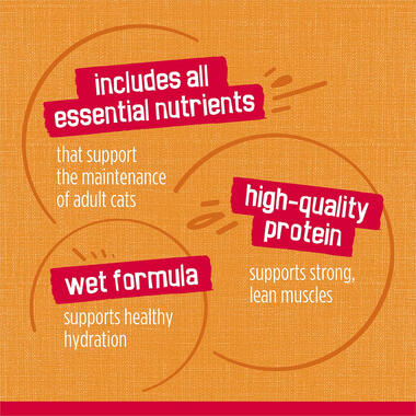 Friskies Prime Filets With Chicken in Gravy Adult Wet Cat Food