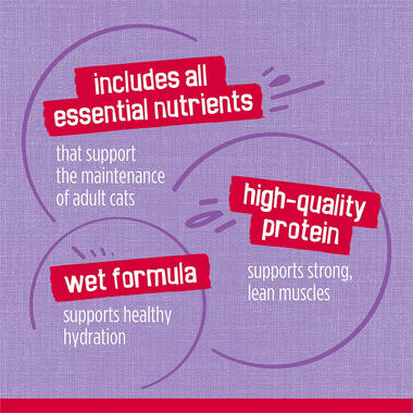 Friskies Prime Filets Turkey Dinner in Gravy Wet Cat Food