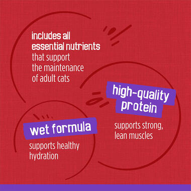Friskies Meaty Bits With Beef in Gravy Wet Cat Food