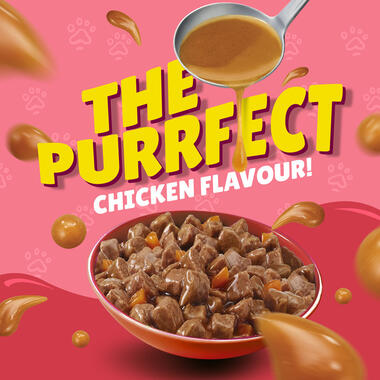 Friskies Junior With Chicken In Gravy