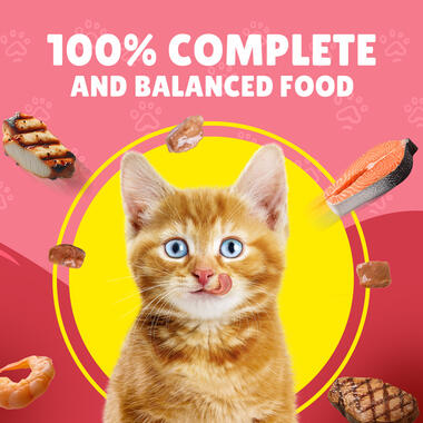 Friskies Junior With Chicken In Gravy