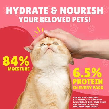 Friskies Junior With Chicken In Gravy