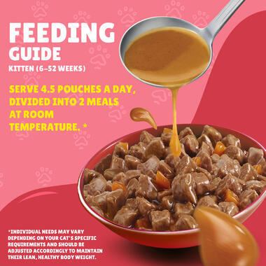 Friskies Junior With Chicken In Gravy