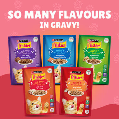 Friskies Junior With Chicken In Gravy