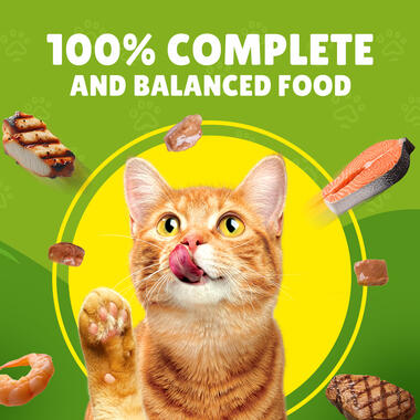 Friskies With Chicken In Gravy