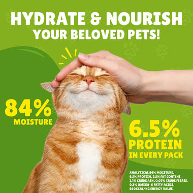 Friskies With Chicken In Gravy