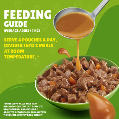 Friskies With Chicken In Gravy