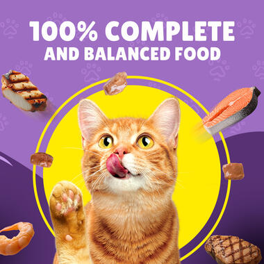 Friskies With Beef In Gravy