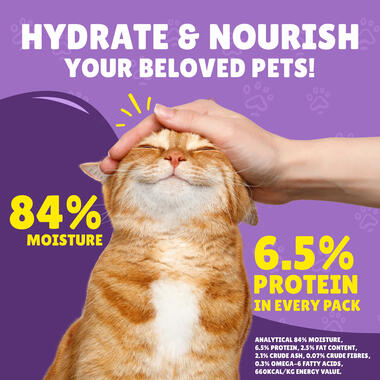 Friskies With Beef In Gravy