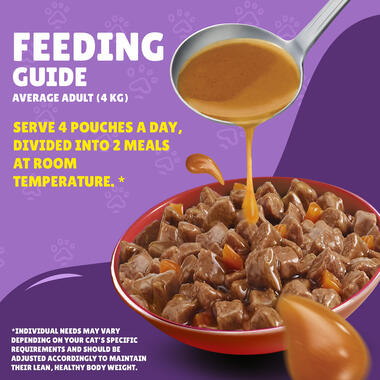 Friskies With Beef In Gravy