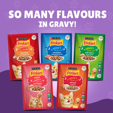 Friskies With Beef In Gravy