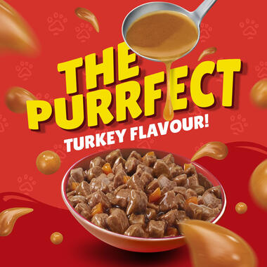 Friskies With Turkey In Gravy