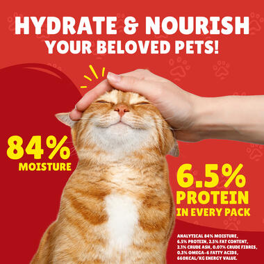 Friskies With Turkey In Gravy