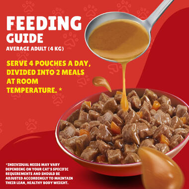 Friskies With Turkey In Gravy