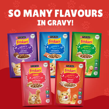 Friskies With Turkey In Gravy