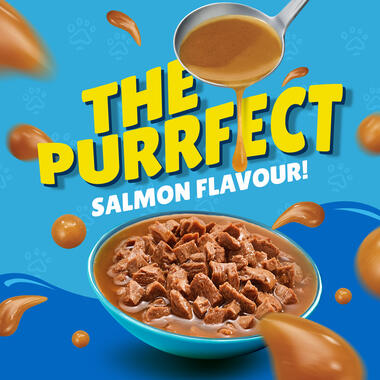 Friskies With Salmon In Gravy