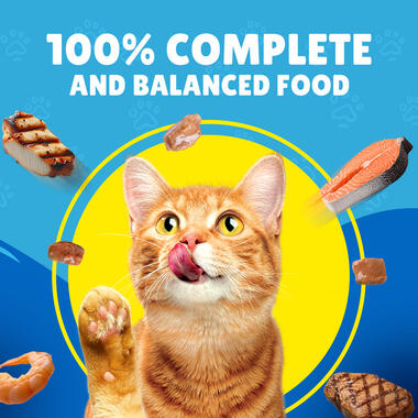 Friskies With Salmon In Gravy