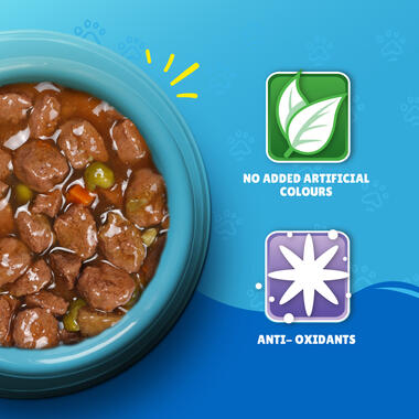 Friskies With Salmon In Gravy