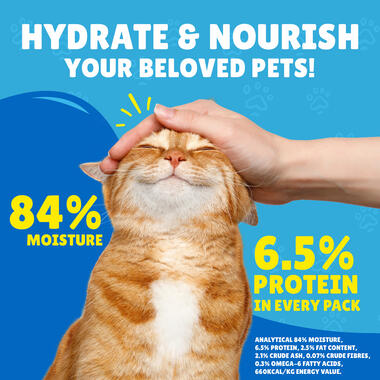 Friskies With Salmon In Gravy