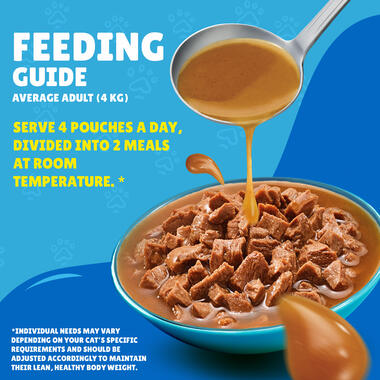 Friskies With Salmon In Gravy