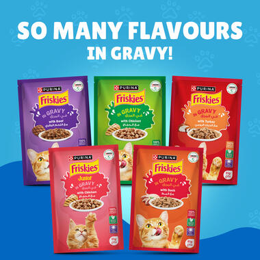 Friskies With Salmon In Gravy