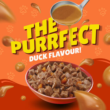 Friskies With Duck In Gravy