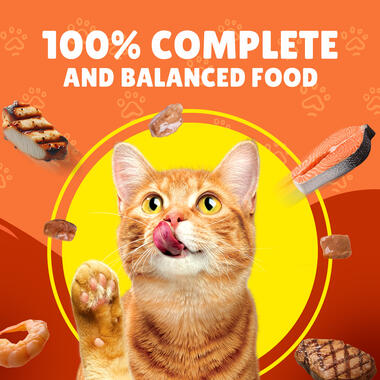 Friskies With Duck In Gravy