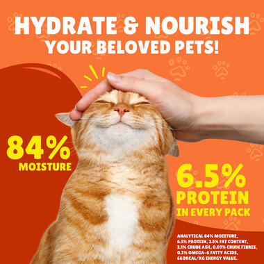 Friskies With Duck In Gravy