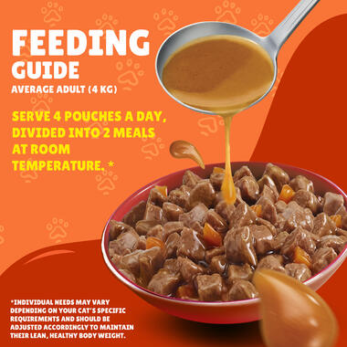 Friskies With Duck In Gravy