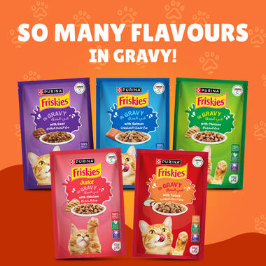 Friskies With Duck In Gravy