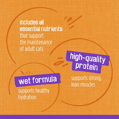 Friskies Meaty Bits Chicken Dinner in Gravy Wet Cat Food