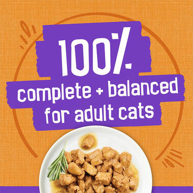 Friskies Meaty Bits Chicken Dinner in Gravy Wet Cat Food