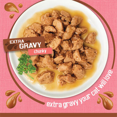 Friskies Extra Gravy Chunky With Salmon in Savory Gravy Wet Cat Food