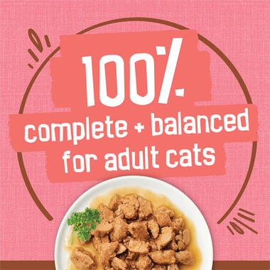 Friskies Extra Gravy Chunky With Salmon in Savory Gravy Wet Cat Food