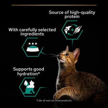 Purina Pro Plan Adult Maintenance, Wet Cat Food, Terrine rich in Chicken