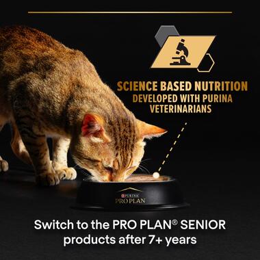 Purina Pro Plan Adult Maintenance, Wet Cat Food, Terrine rich in Chicken