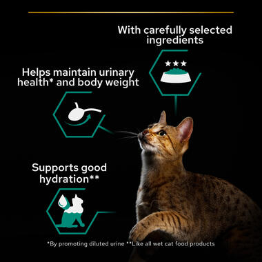 sterilised_maintenance_wet_cat_food