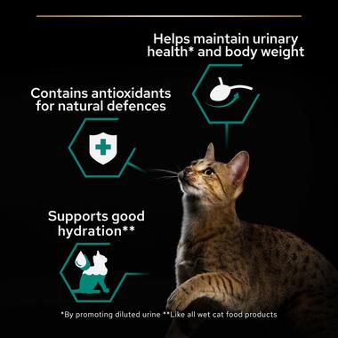 Purina Pro Plan Sterilised Wet Cat Food, Beef in Gravy