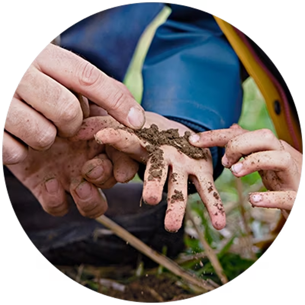 soil health