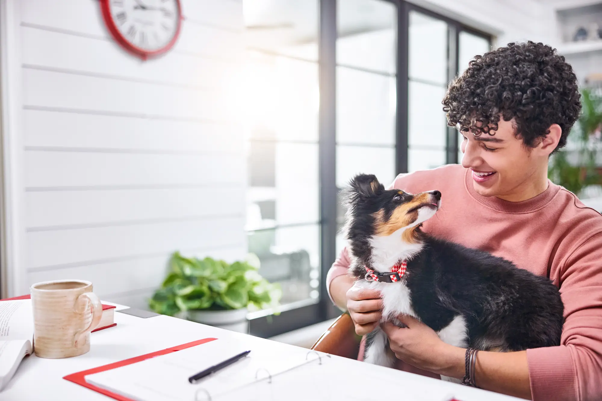 Puppy Buying Guide: Finding the Right Breeder