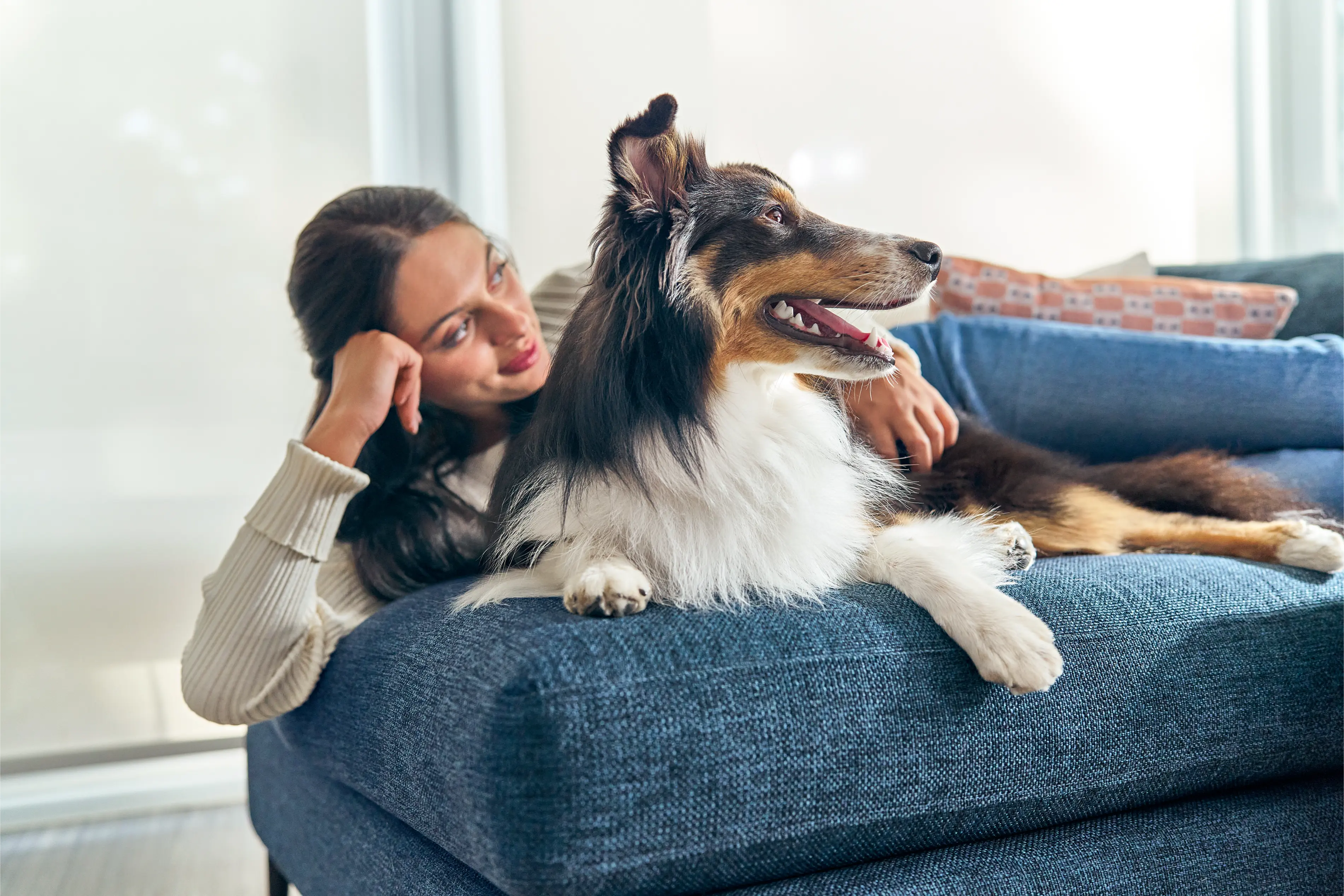The Best Big Dog Names 