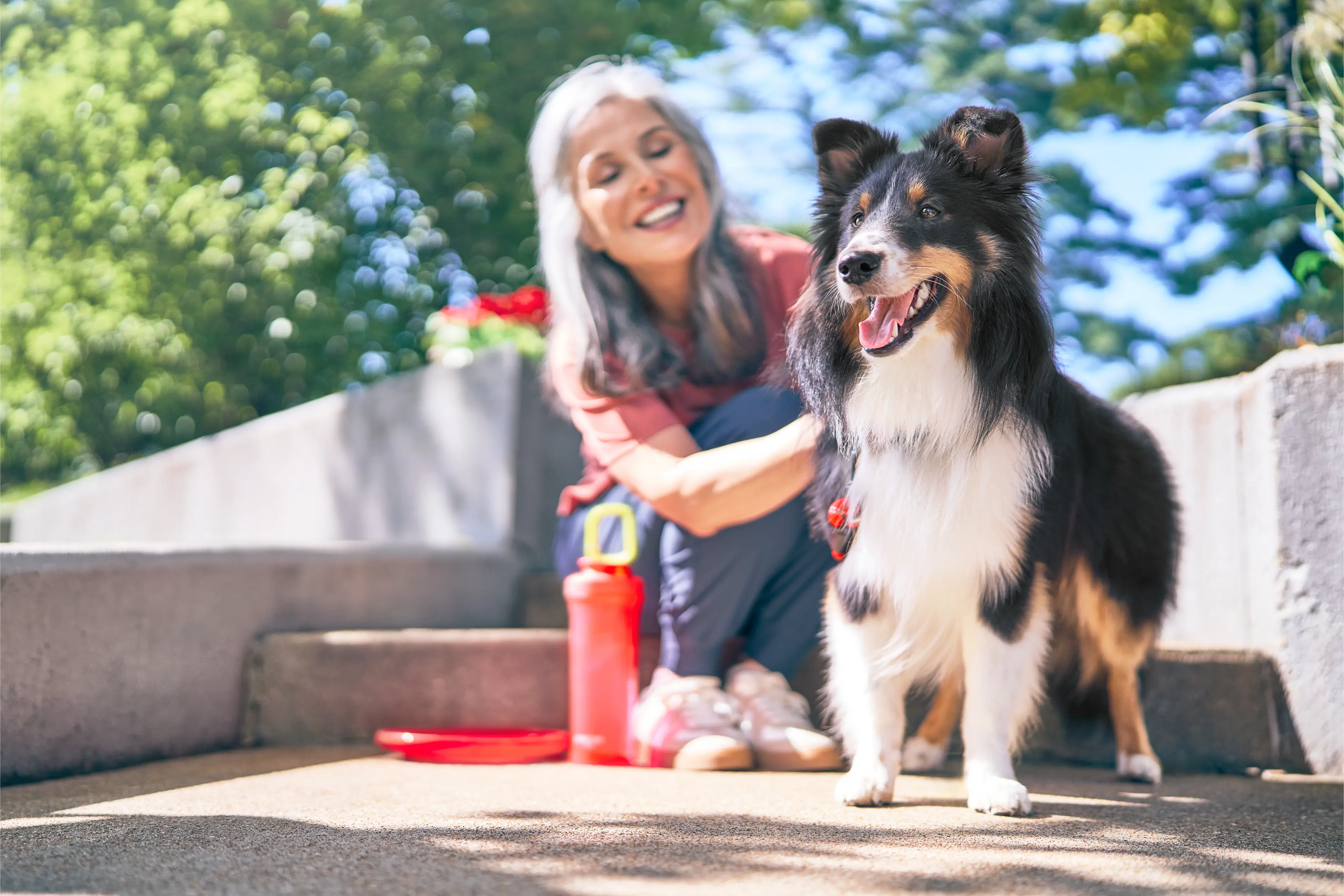 The Best Big Dog Names 
