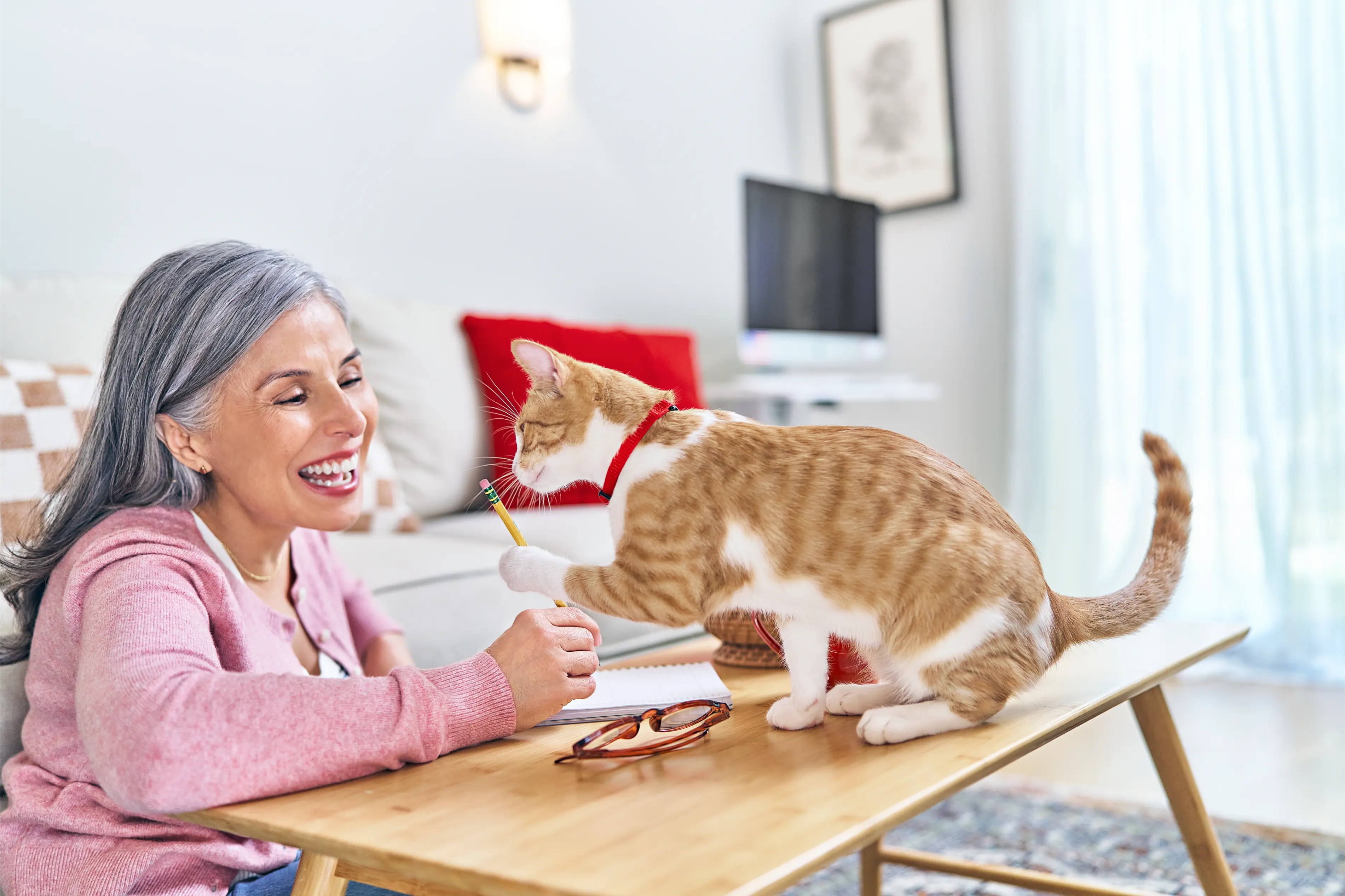 The Best Male and Female Cat Names.
