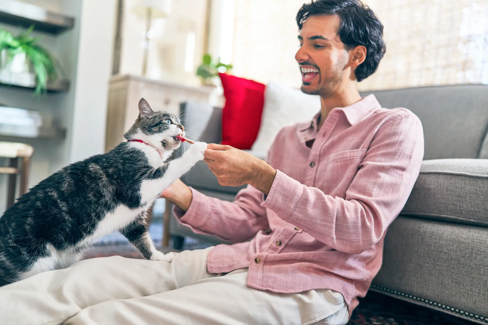 14 Mind-Blowing Facts about Cats
