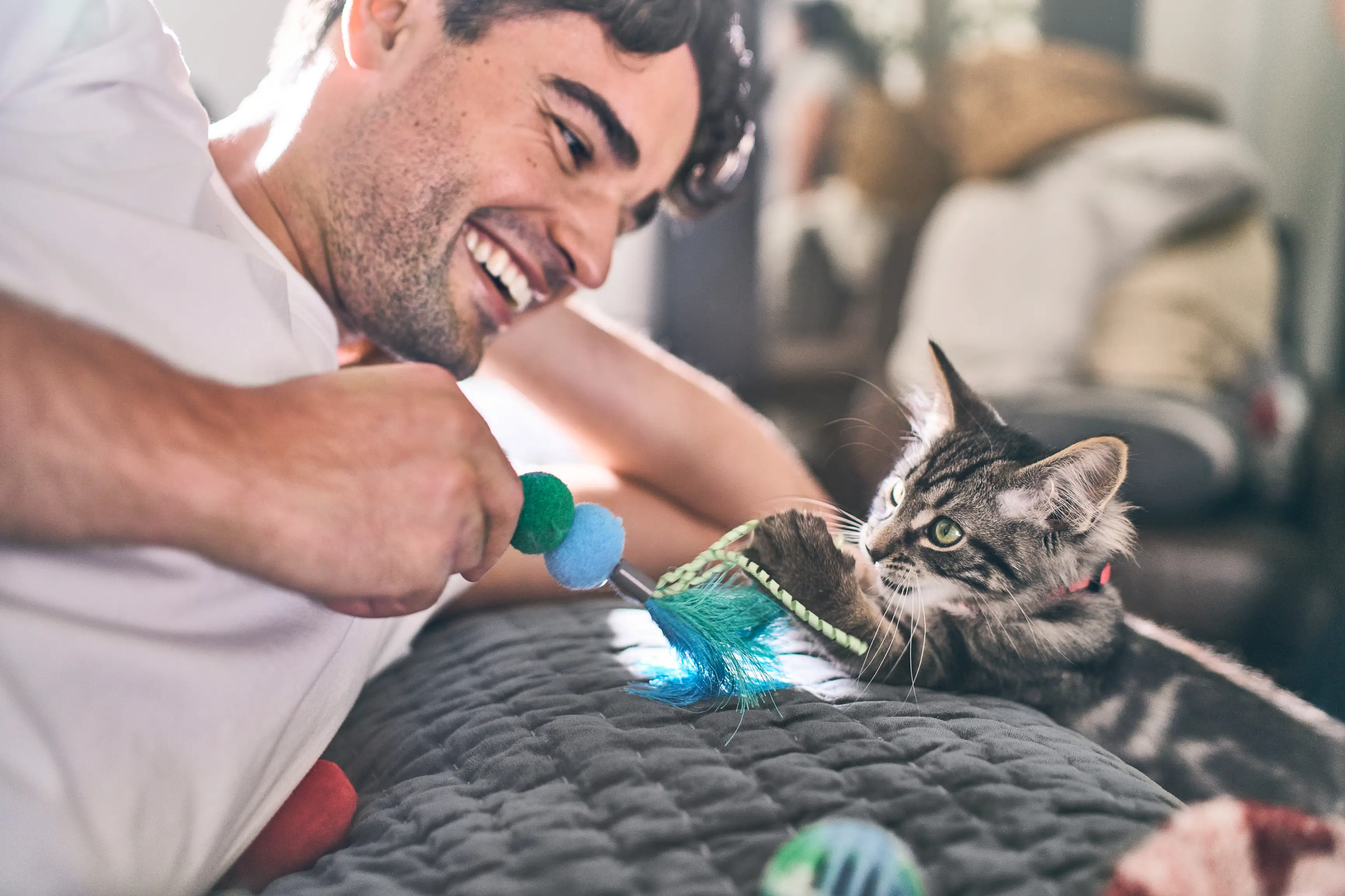 Your Cat's Age in Human Years