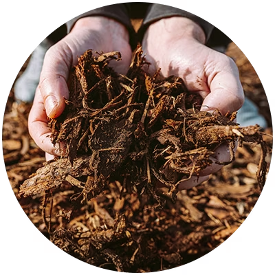 mulhing-and-crop-residue-cover
